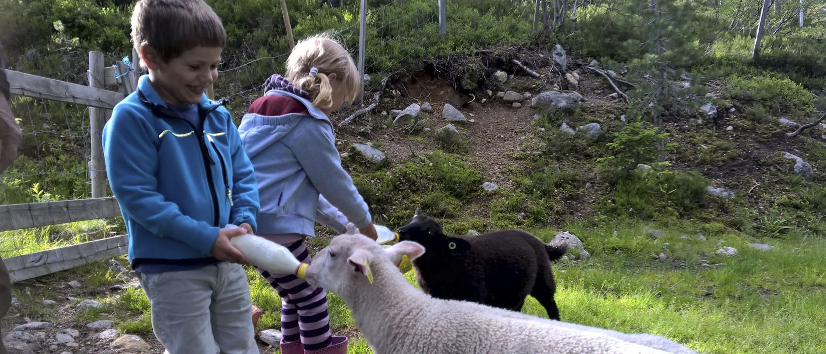 Stavern 2016